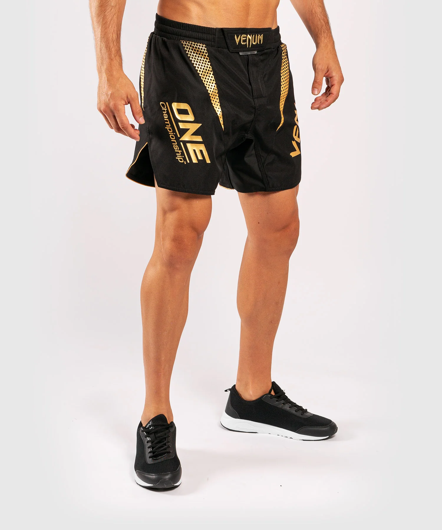 Venum x ONE FC Fightshorts - Image 3