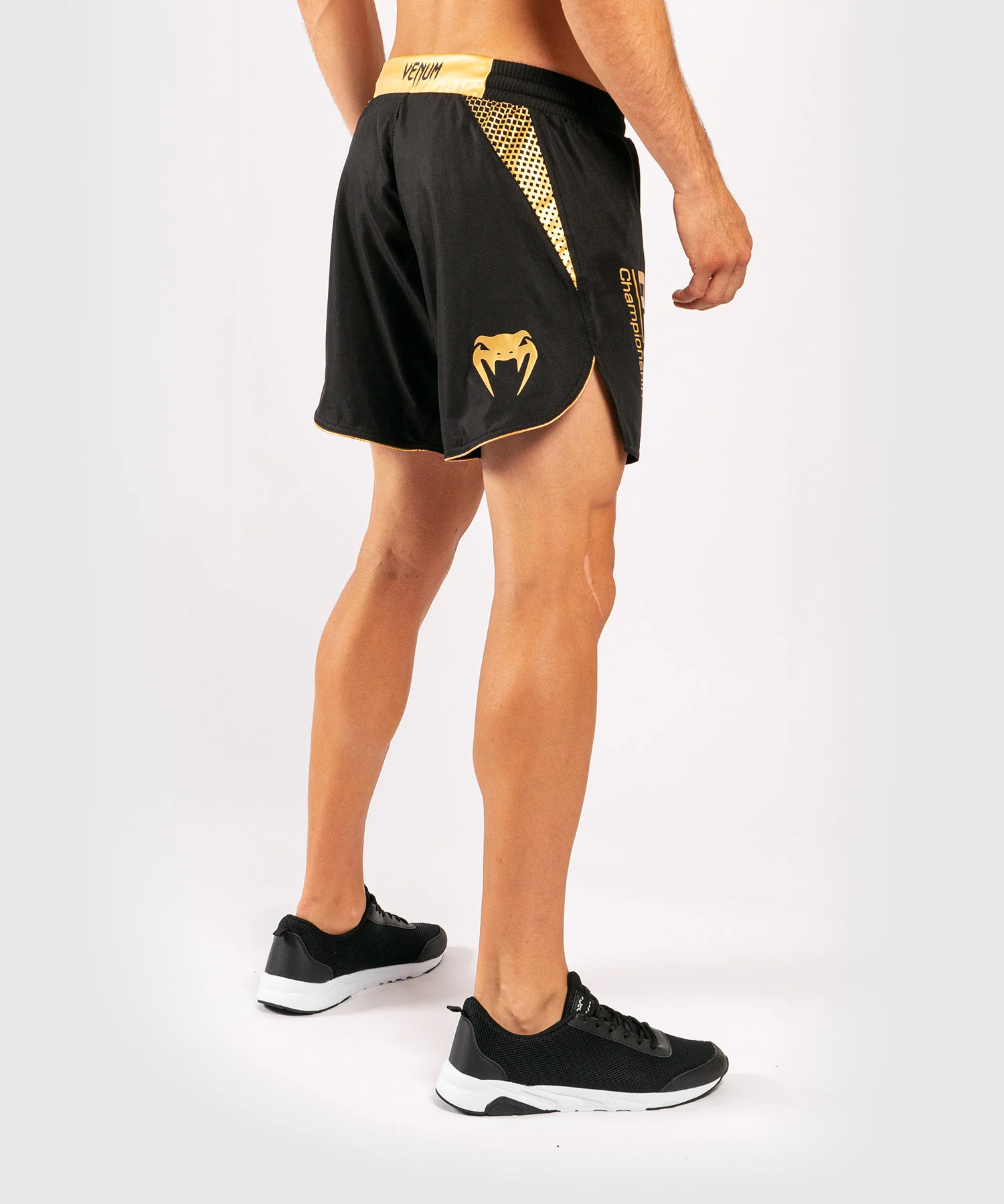 Venum x ONE FC Fightshorts - Image 5